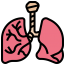 Pulmonary